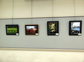 ����N���u�̎ʐ^