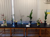 ����N���u�̎ʐ^