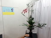 ����N���u�̎ʐ^