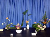 ����N���u�̎ʐ^