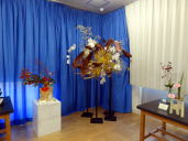 ����N���u�̎ʐ^