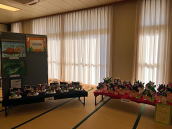 �Z���i�̎ʐ^