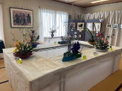 �Z���i�̎ʐ^