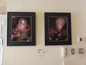 �Z���i�̎ʐ^