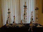 �Z���i�̎ʐ^