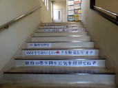 �܂�̗l�q�̎ʐ^